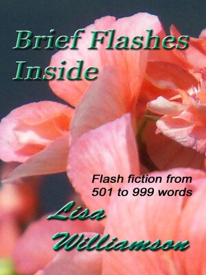cover image of Brief Flashes Inside